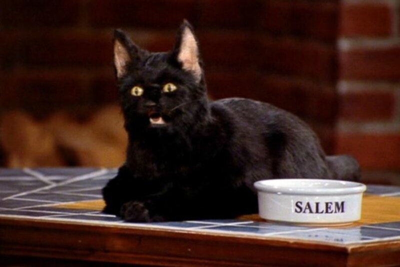 salem-sabrina-netflix.jpeg