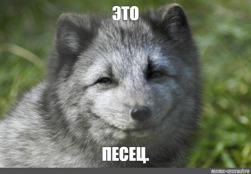 Meme: "ЭТО ПЕСЕЦ." - All Templates - Meme-arsenal.com