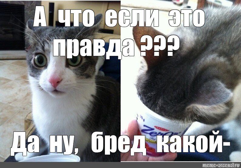 3eb304cca5568a55f8a61ce3b55dafba.jpg