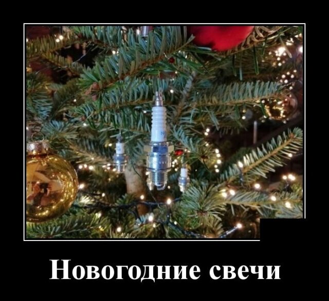 Про красоту, Новый год и ограничения - смешные демотиваторы