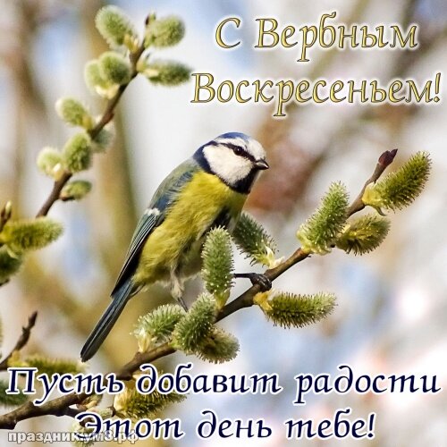 Скачать онлайн добрейшую открытку с вербным воскресеньем, лучшие картинки  на вербное воскресенье, с праздником! Для вк, ватсап, одноклассники!