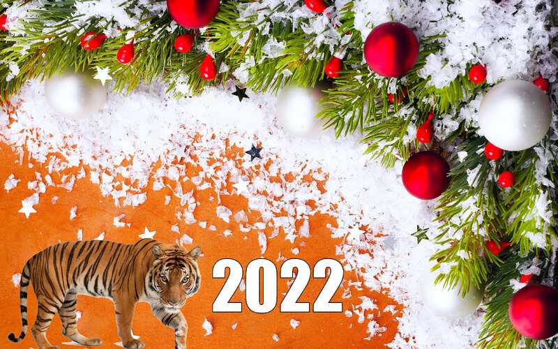 Официальные поздравления с Новым годом 2022: клиентам, коллегам,  руководителям | Домашняя ферма