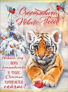 Идеи на тему «Год тигра» (240) в 2021 г | новогодние пожелания, открытки, с  новым годом