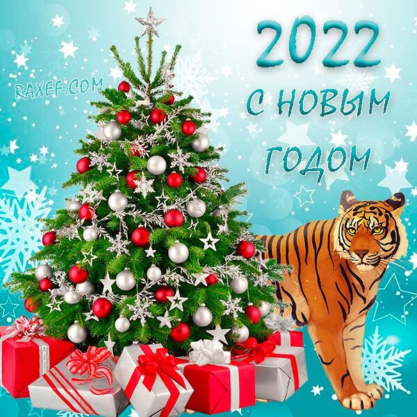С новым 2022 годом тигра! Открытки! Картинки! Открытка с новым годом тигра!  Красивая картинка с... Страница 6 в 2021 г | Открытки, Рождественские  цитаты, С новым годом