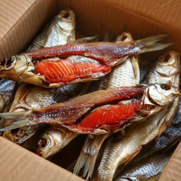 Вяленая рыба: настоящий мужской деликатес. Cушение и вяление рыбы - виды и  особенности.