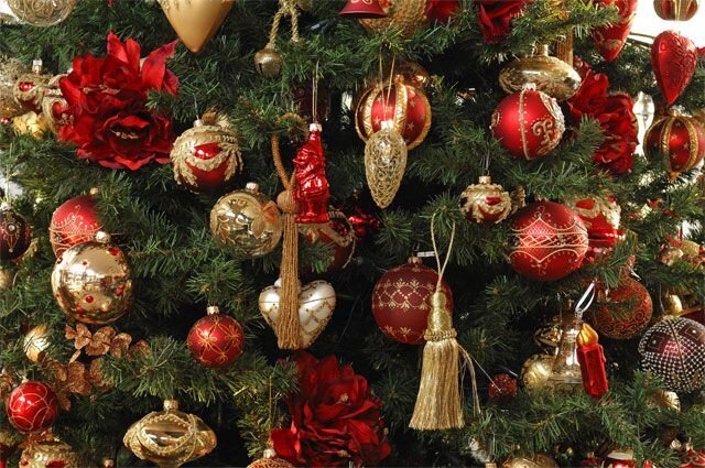 Как сэкономить на новогодней елке? Восемь хитростей | Cвободное время | АиФ  Аргументы и факты в Беларуси