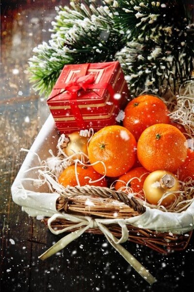 Запах нового года! эфирные масла мандарина и сосны. уп 8 грн., цена 5 грн -  купить Новый год новые - Клумба