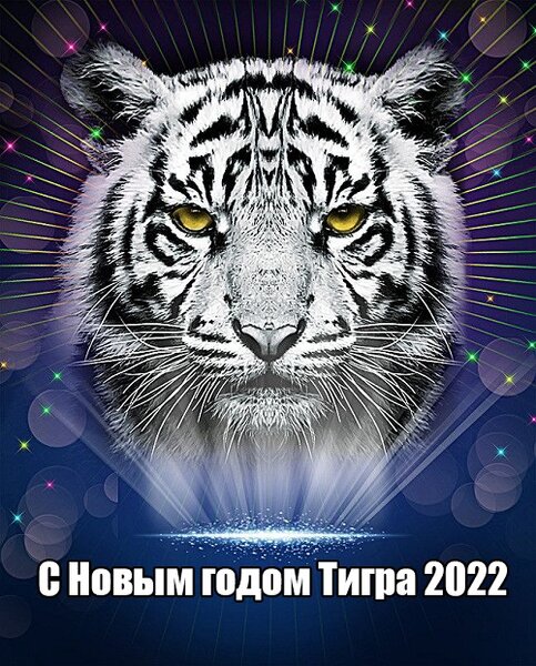 Открытки с Новым Годом Тигра 2022 – Привет Пипл!