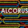 Alcorus