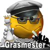 Grasmester